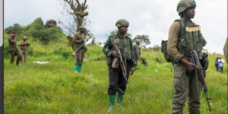L’AFC/M23 dénonce les attaques de ses lignes de front par des forces coalisées (communiqué)