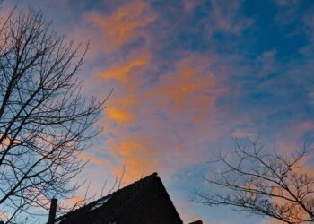 L&rsquo;Agoa 2026 : Un Souffle de Vie pour les Économies Africaines